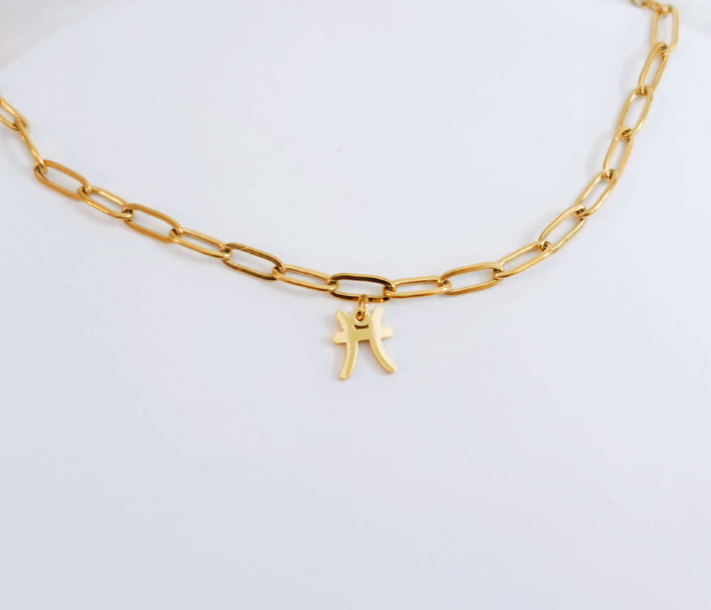 18K Gold Stainless steel Personalized Letter & Zodiac Necklace